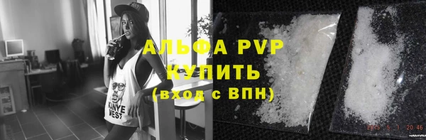 мяу мяу мука Михайлов