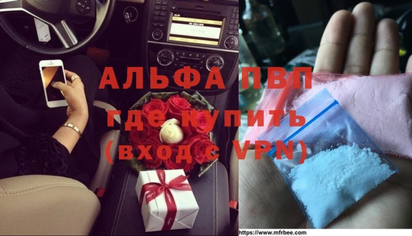 мяу мяу мука Михайлов