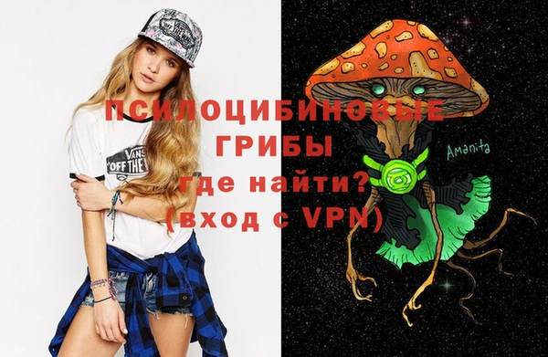мдпв Михайловск