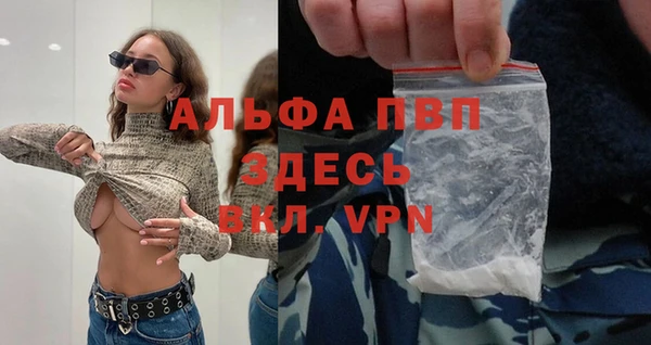 мяу мяу мука Михайлов