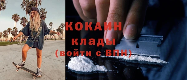 мдпв Михайловск