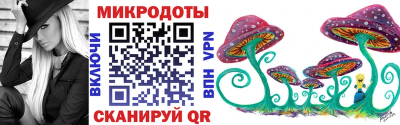 купить закладку Таганрог Псилоцибиновые грибы Psilocybe