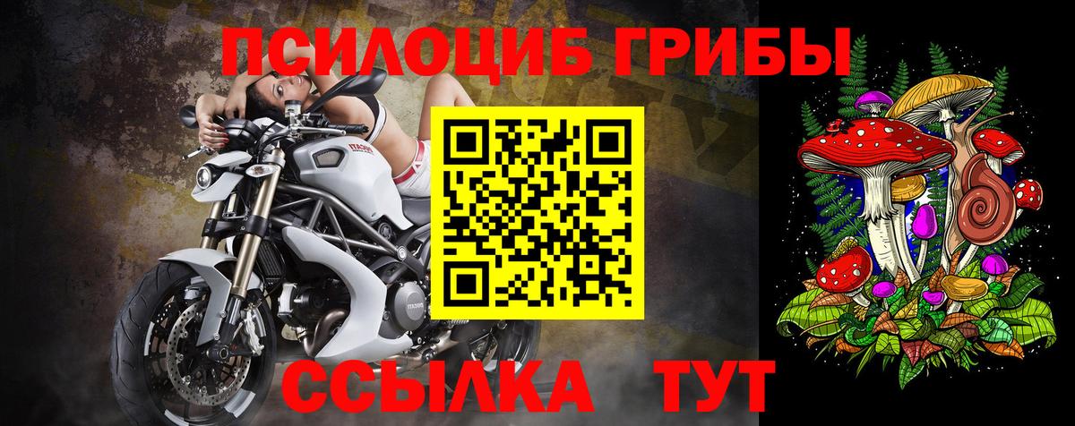 Псилоцибиновые грибы GOLDEN TEACHER Таганрог
